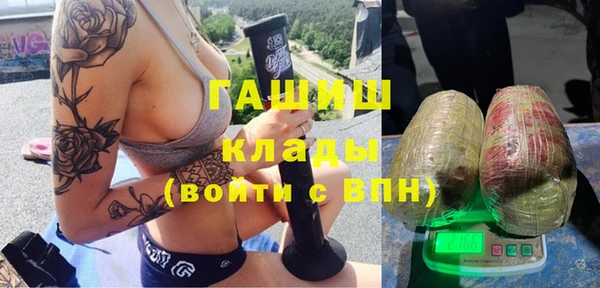 хмурый Алексин