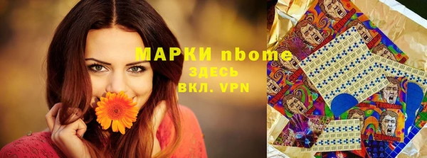 хмурый Алексин