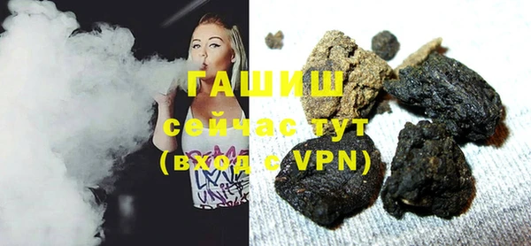 хмурый Алексин